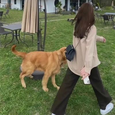 黑莲疑案