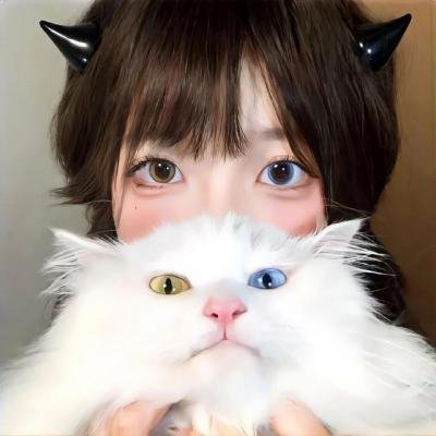 白狼勇士